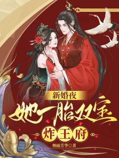 新婚夜：她一胎双宝炸王府